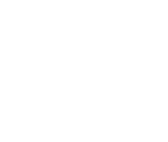 Our Disclaimer Flag